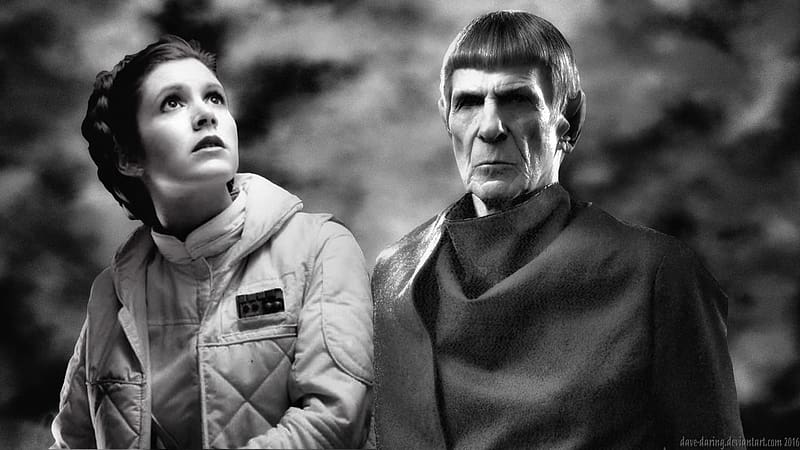 Carrie Fisher Take Care Of The Princess Mr Spock, celebrities, take care of the princess mr spock, actrice, people, carrie fisher, black and white, HD wallpaper