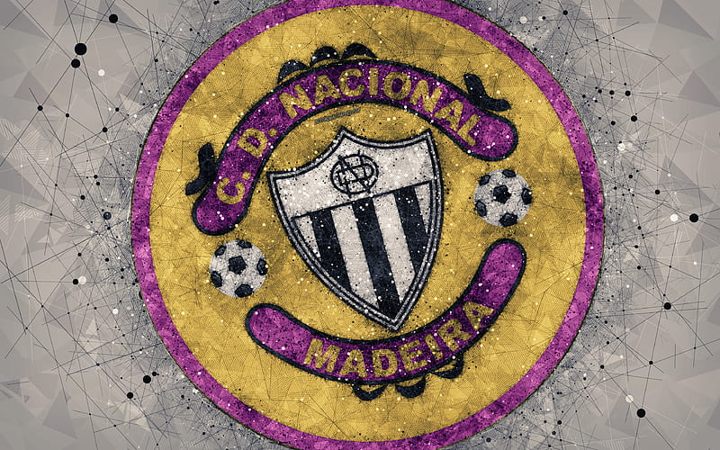 CD Nacional geometric art, logo, Portuguese football club, emblem, gray background, Primeira Liga, Funchal, Portugal, football, creative art, Nacional da Madeira, HD wallpaper