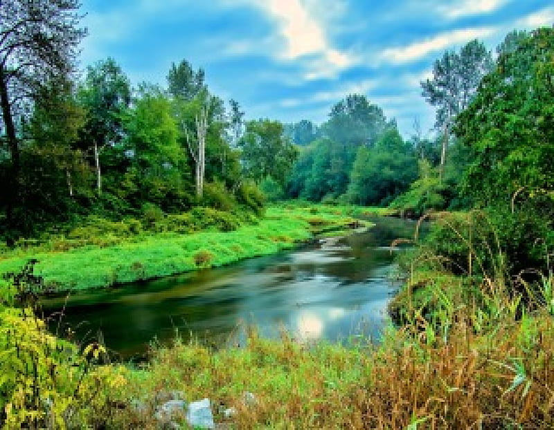 Winding Summer River, forest, grass, bonito, trees, clouds, shrubs, water, green, summer, river, HD wallpaper