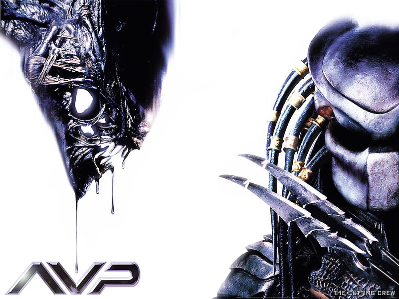 AVP, predator, alien, movie, alien vs predator, HD wallpaper