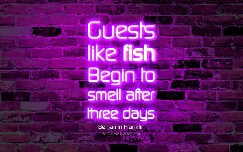 Guests Like fish Begin to smell after three days violet brick wall, Benjamin Franklin, popular quotes, neon text, inspiration, quotes about guests, HD wallpaper