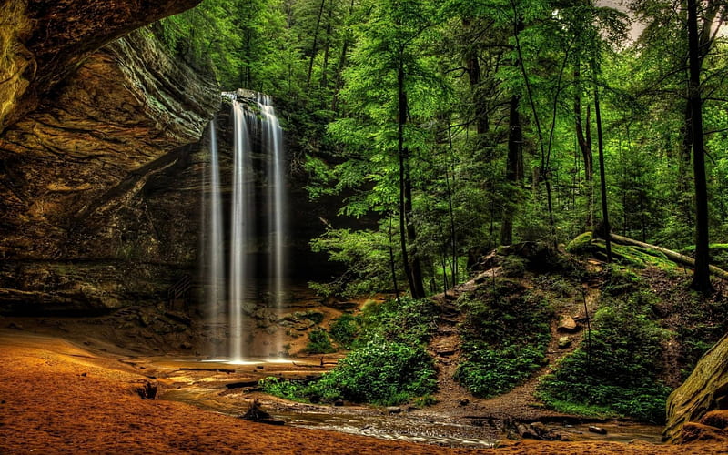 Cascada Del Bosque Bosque Fresco Cascada Naturaleza Diversión Fondo De Pantalla Hd Peakpx