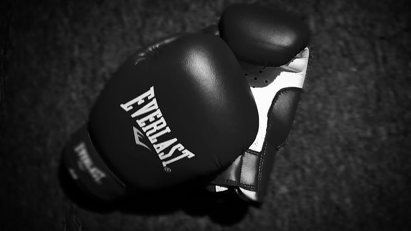 Boxing Gloves, black, box, cat, fight, fighting, red, thanks, the, HD wallpaper