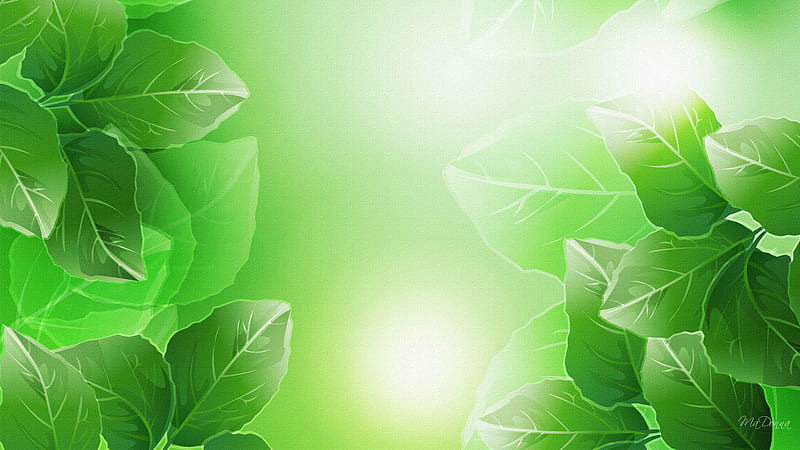 Spring Green Three, leaves, green, summer, firefox persona, spring, trees, light, HD wallpaper