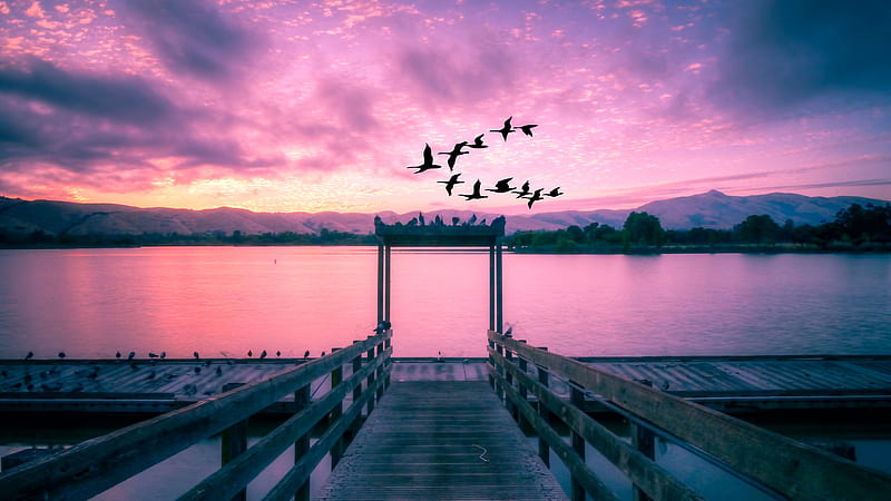 sunset, lake, birds, sky, clouds, Nature, HD wallpaper