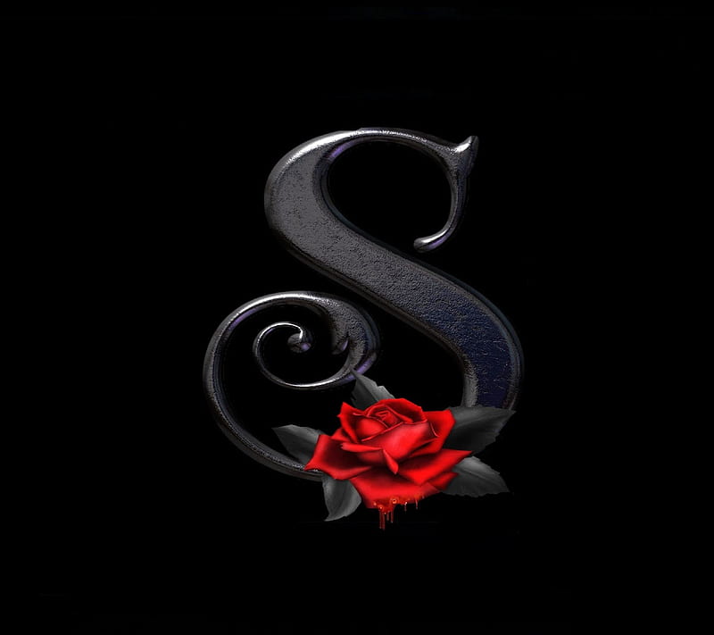 S letter rose, HD wallpaper | Peakpx