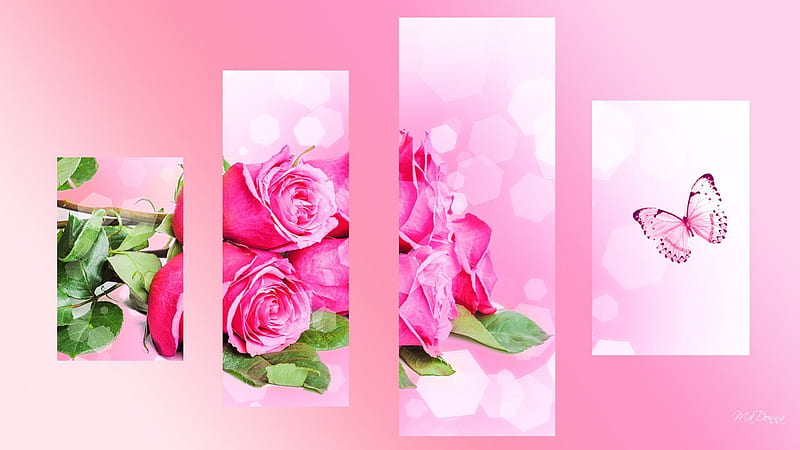 Cut Roses, artistic, art, romantic, romance, spring, collage, roses, Valentines Day, butterfly, summer, papillon, flowers, pink, HD wallpaper