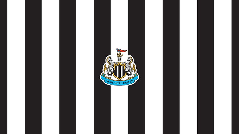 Newcastle United F.C., newcastle, nufc, football, the magpies, HD wallpaper