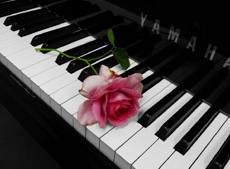 Фортепиано белые клавиши