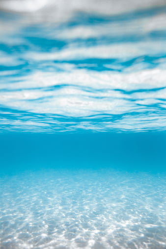 Stingray, water, underwater, blue, HD phone wallpaper | Peakpx