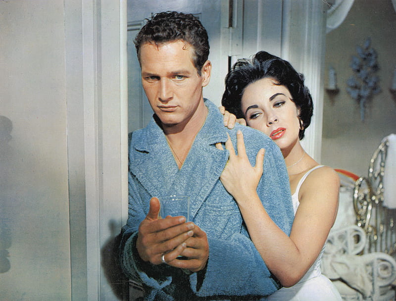 Cat On a Hot Tin Roof, movie, taylor, newman, HD wallpaper