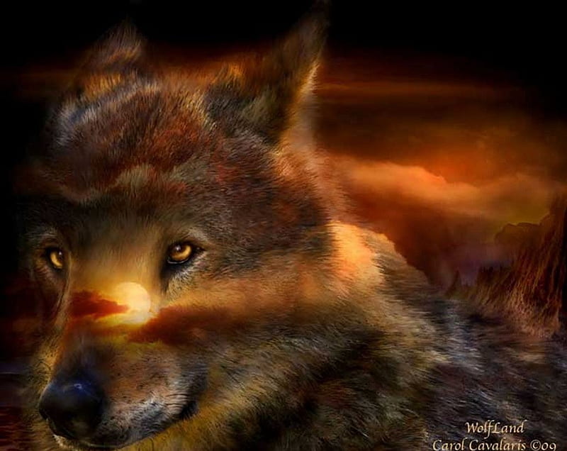 Wolf, fantasy, wild, animal, night, HD wallpaper | Peakpx