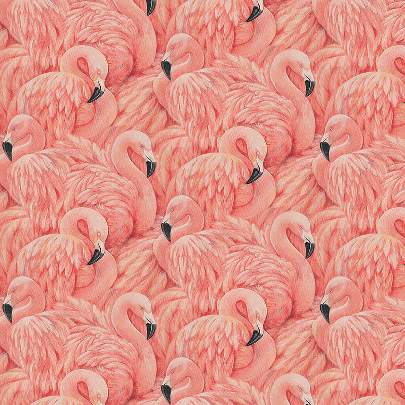 Buy Flamingo Wallpaper Online In India  Etsy India