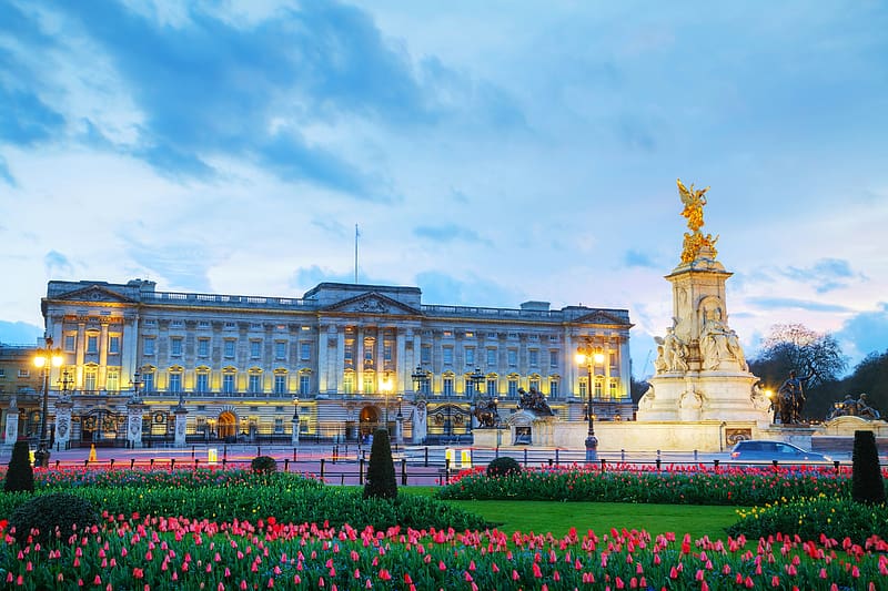 London, Building, Flower, Statue, Tulip, United Kingdom, , Buckingham Palace, Palaces, HD wallpaper