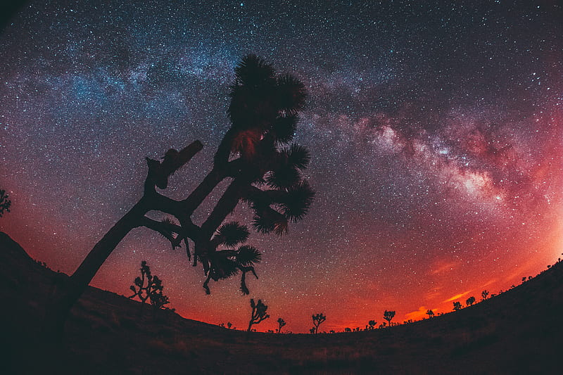 drifter full (), Starry Desert Sunrise, HD wallpaper