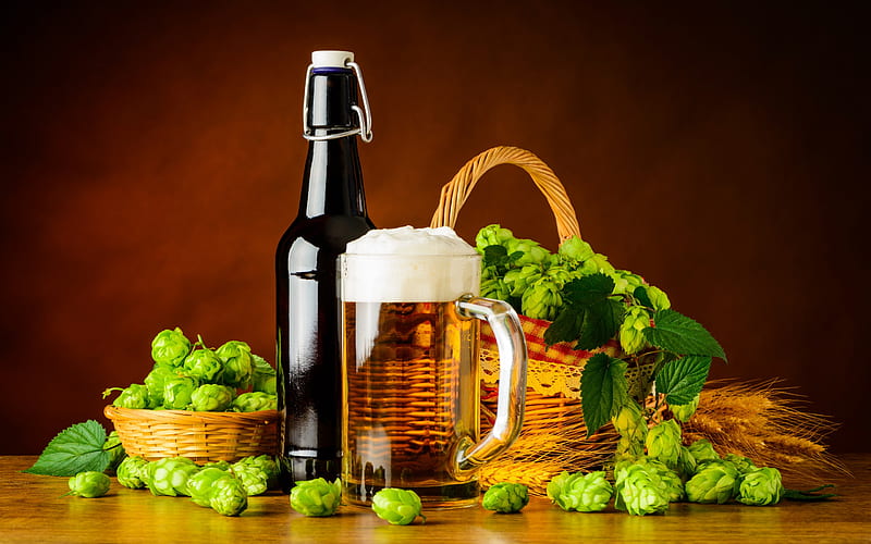 beer, green hops, brown bottle, bottle of beer, HD wallpaper