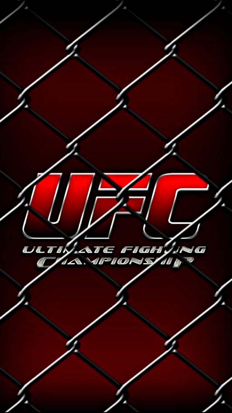 UFC, mma, fight, cage, HD phone wallpaper | Peakpx