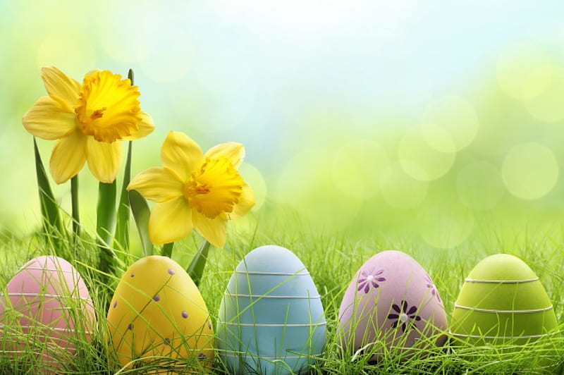 Easter Time, grass, daffodils, eggs, flowers, spring, easter, HD wallpaper