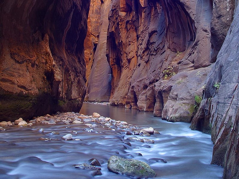 Zion Narrows, rocks, walls, nature, river, canyon, narrow, HD wallpaper