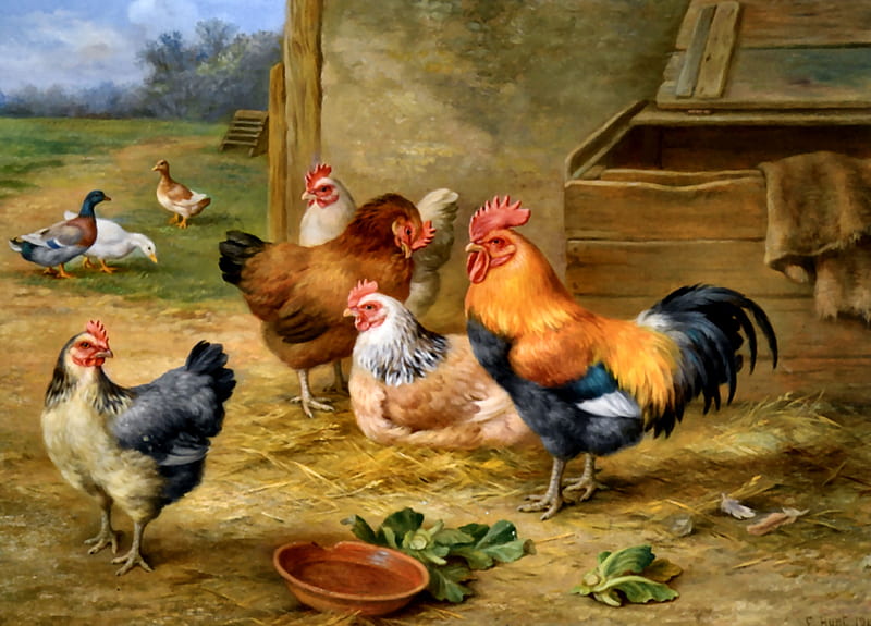 King of the Roost 1946 F1C, art, painting, wide screen, bonito, illustration, chickens, artwork, farm animals, HD wallpaper