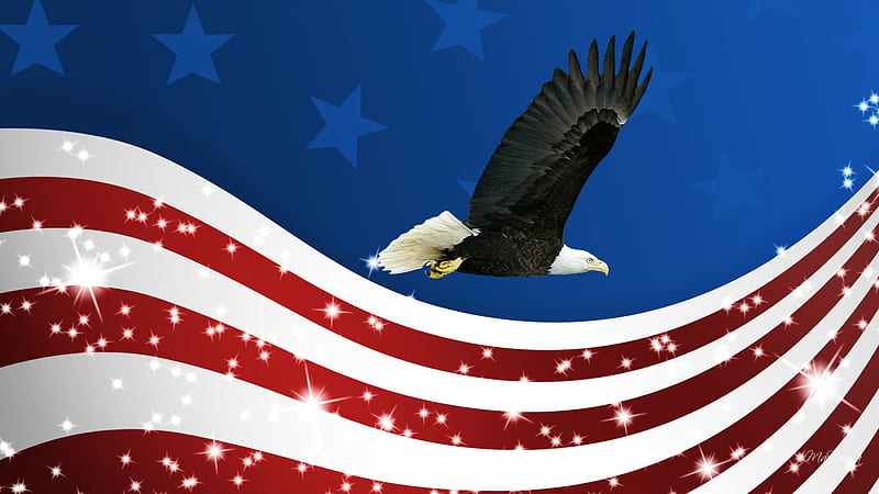 The bird of us. Flag with Bird and Stars.