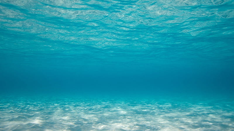 Clear Underwater Ocean Blue Background Nature, HD wallpaper