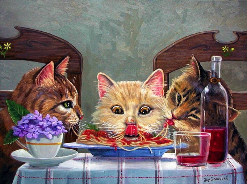 Gourmets, table, wine, funny, pasta, cats, HD wallpaper