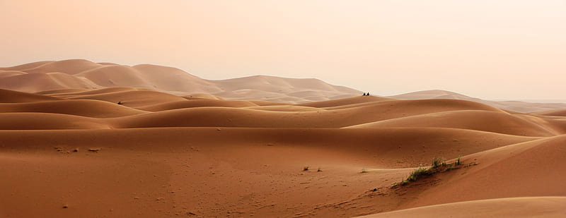 morocco, desert, hills, sand, plants, Landscape, HD wallpaper