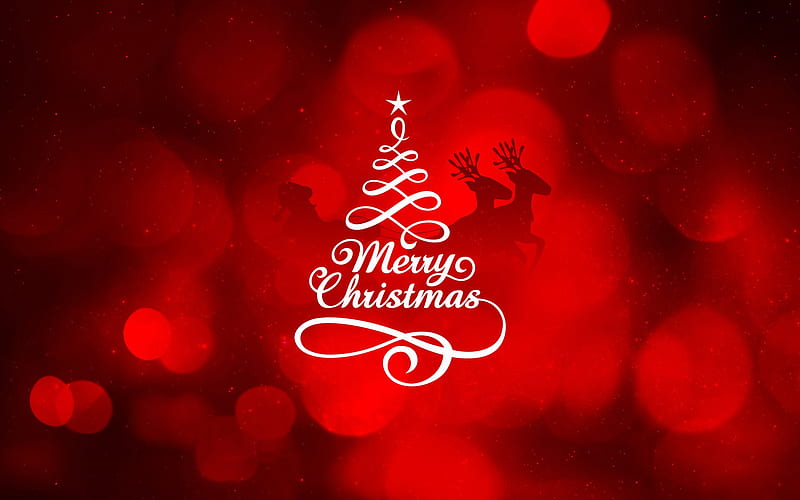 Merry Christmas, christmas, celebrations, HD wallpaper