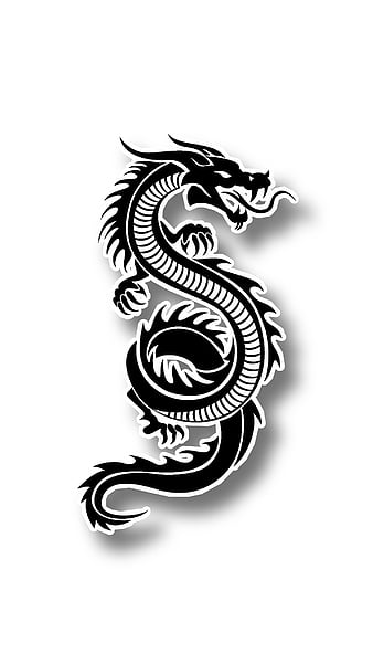 Animal Dragon Snake Lion Tattoo Stickers Men And Women Black And White  Color Temporary Transfer Tattoo Stickers | Fruugo KR