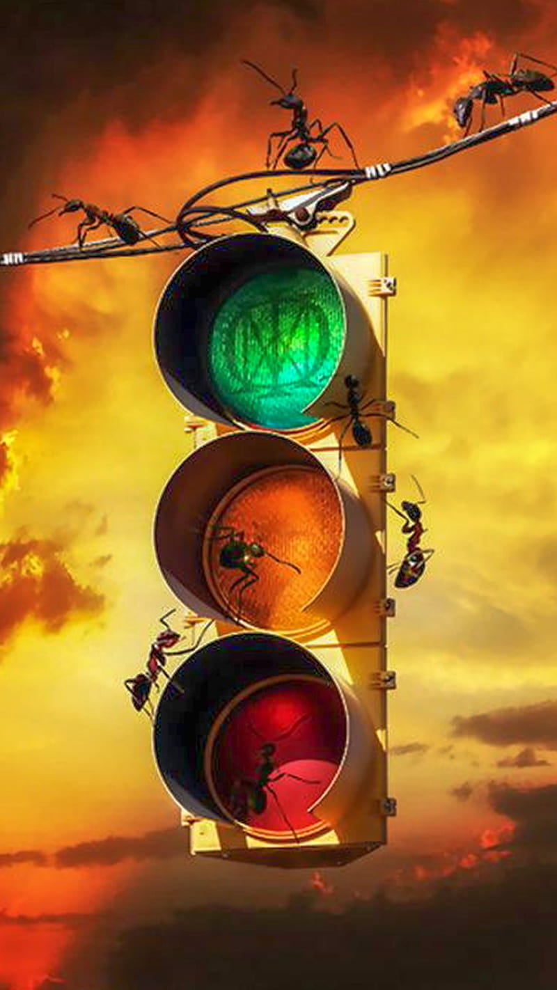 systematic chaos 01, dream theater, dream, theater, ant, trafficlight, light, red, orange, green, HD phone wallpaper