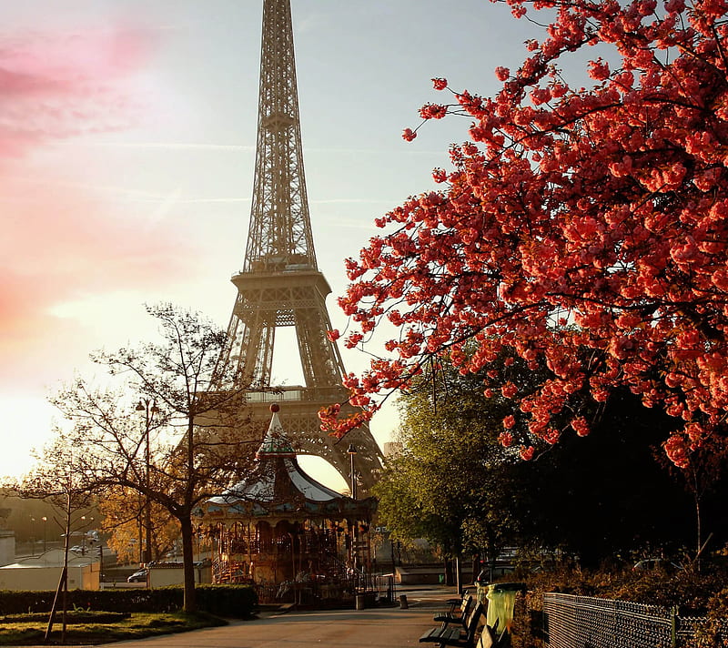 Eiffel Tower , eiffel tower, tree, HD wallpaper