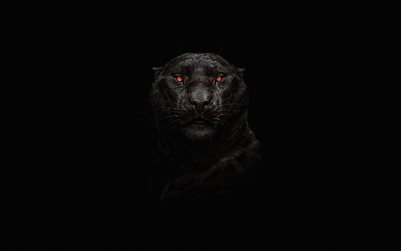 Black panther predators, minimal, black backgrounds, panther, red eyes, HD  wallpaper | Peakpx