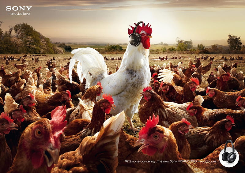 99% noise canceling, red, rooster, chicken, headphones, creative, sony, situation, funny, commercial, white, HD wallpaper