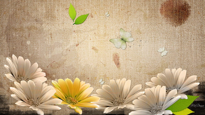 Chamomile on Burlap, daisies, leaves, sacking, flowers, chamomile, butterflies, bisque, floral, HD wallpaper