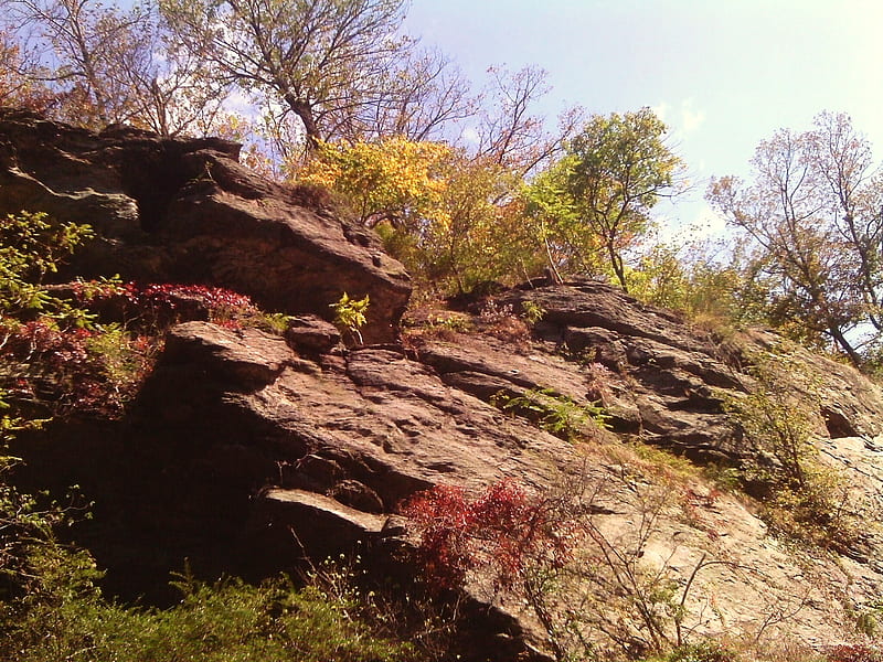 Mountainside at Harpers Ferry, WV., rocks, fall, leaves, trees, sky, HD wallpaper