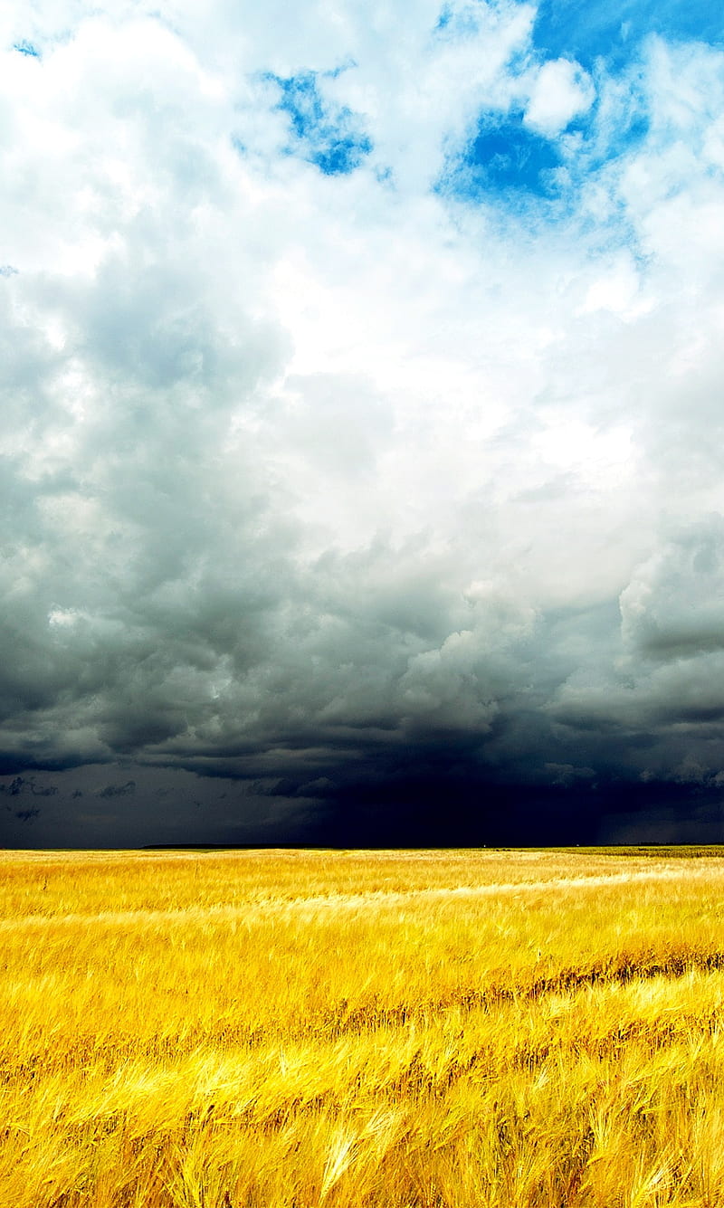Storm Clouds, clouds, storm, HD phone wallpaper