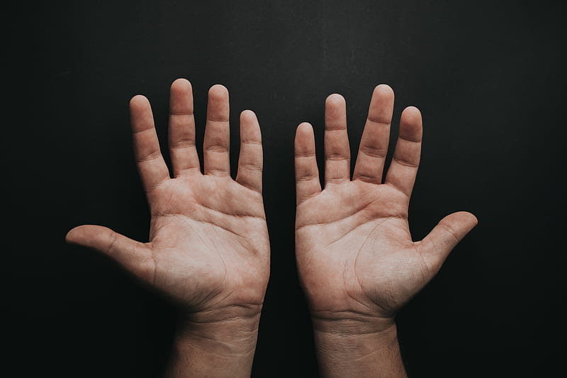 human hand, HD wallpaper