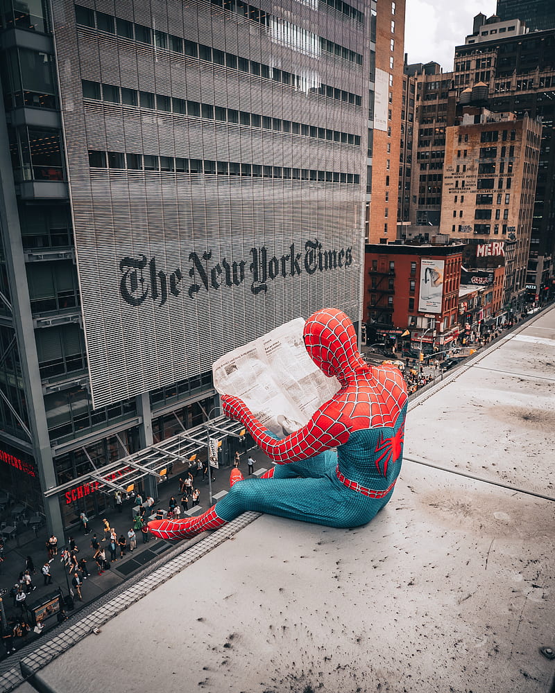 Spiderman gracioso, increíble, explorar, héroe, naturaleza, nueva york,  súper, Fondo de pantalla de teléfono HD | Peakpx