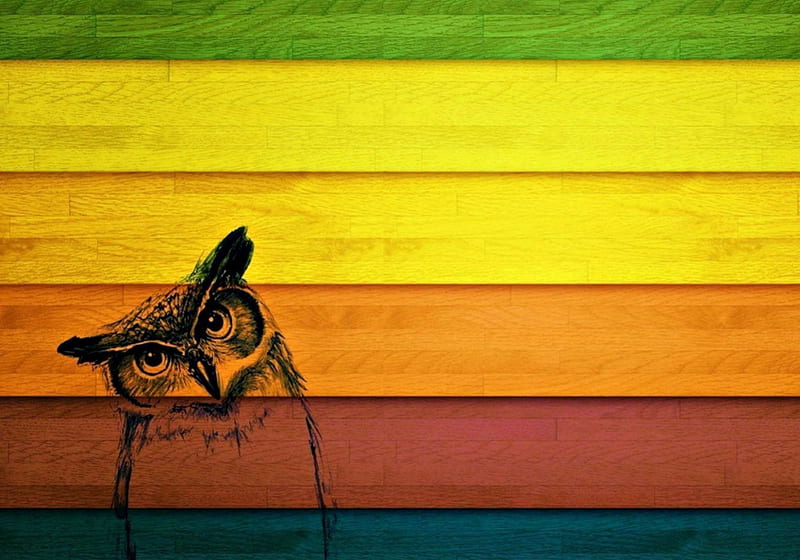 Owl on wood panels, red, owl, colorful, yellow, abstract, draw, panel, green, texture, wood, HD wallpaper