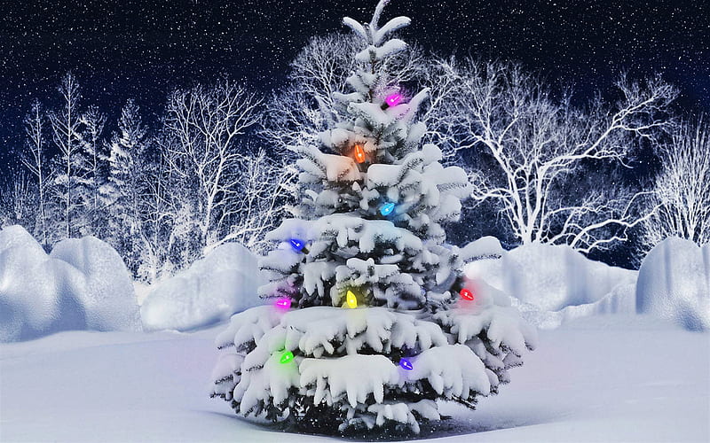 Christmas tree, winter, snowdrifts, New Year tree, Happy New Year, xmas, Christmas, HD wallpaper