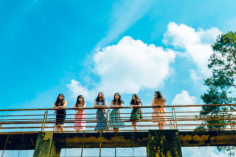 Six Women Wearing Dress Leaning on Bridge Rail, HD wallpaper