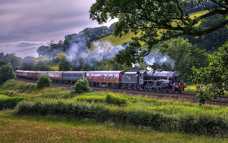 Old Steamtrain, locomotive, railway, steam, trees, landscape, HD wallpaper