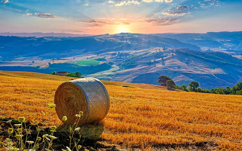 Campania summer, sunset, fields, dawn, Italy, beautiful nature, Europe, HD wallpaper
