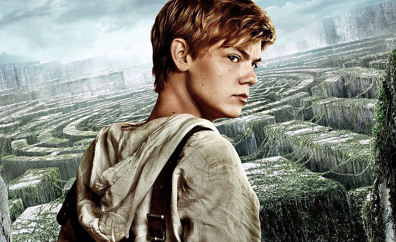 The Maze Runner 2014, actor, Thomas Brodie, poster, movie, labyrinth, the maze runner, man, HD wallpaper