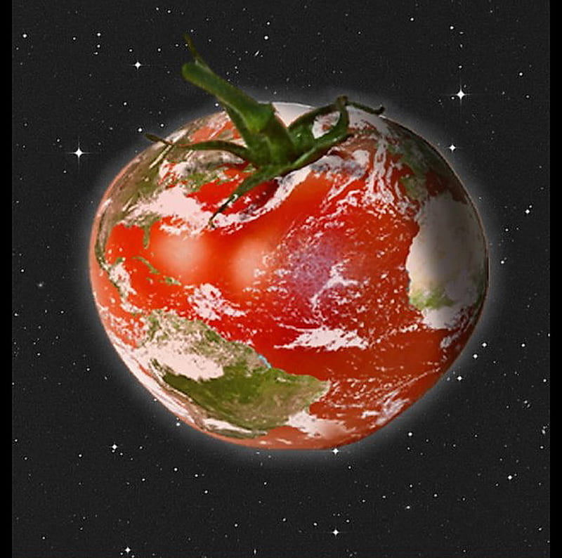 Tomato: 'star of the earth