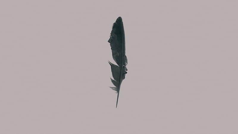 Black Bird, HD wallpaper | Peakpx