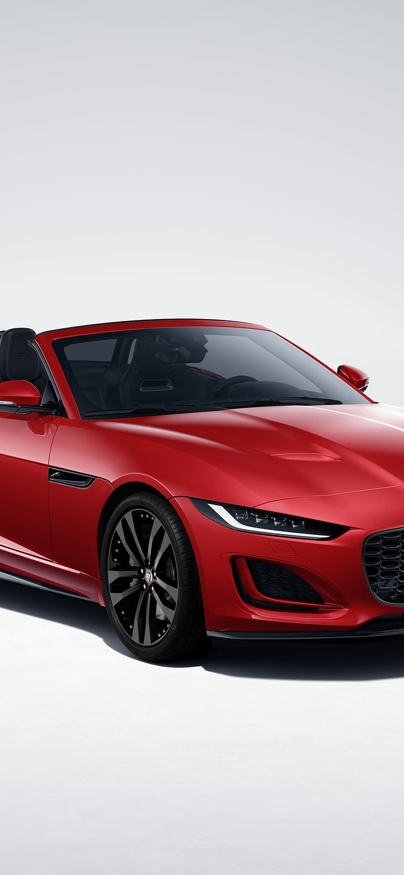 Jaguar F Type R Dynamic Black Convertible , 2021, White Background, Red Cars, , , Cars, HD phone wallpaper
