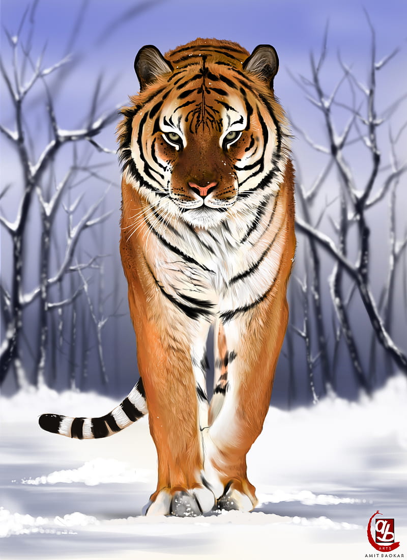 tiger, predator, big cat, snow, art, HD phone wallpaper