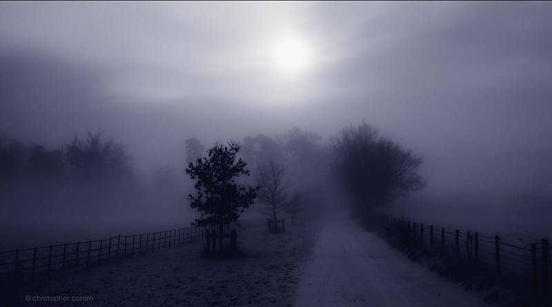 Cool grey foggy landscape, sun, road, trees, fog, HD wallpaper | Peakpx